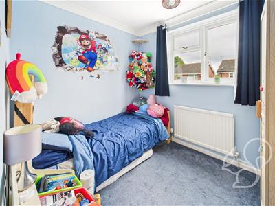 Picture 15